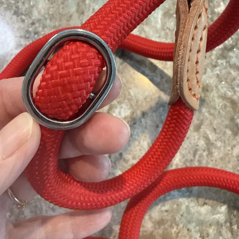 5' Nylon Leather Slip Lead Dog‎ Leash Red Dog Training Walking Exercise